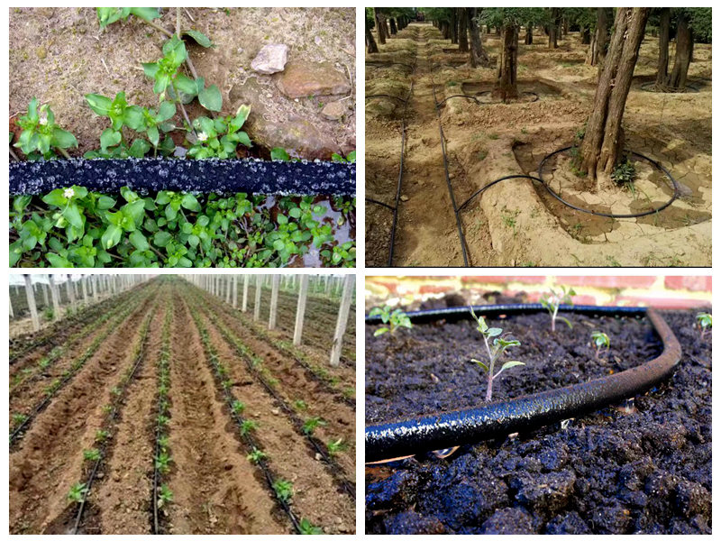 Kepiye carane selang soaker karet digunakake kanggo irigasi?