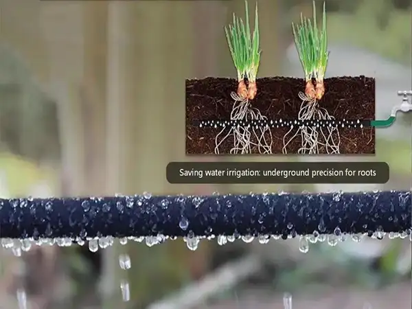 Garis Ekstrusi Pipa Permeabel Karet kanggo Pasar Cina